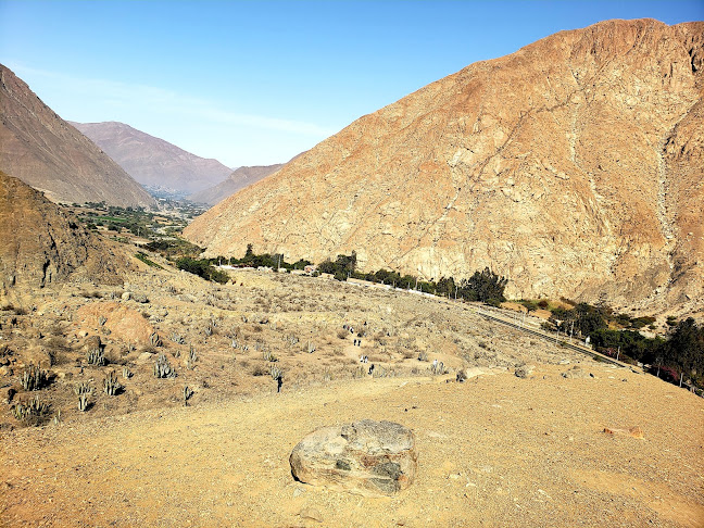 Zona Arqueológica Petroglifos de Checta - Museo