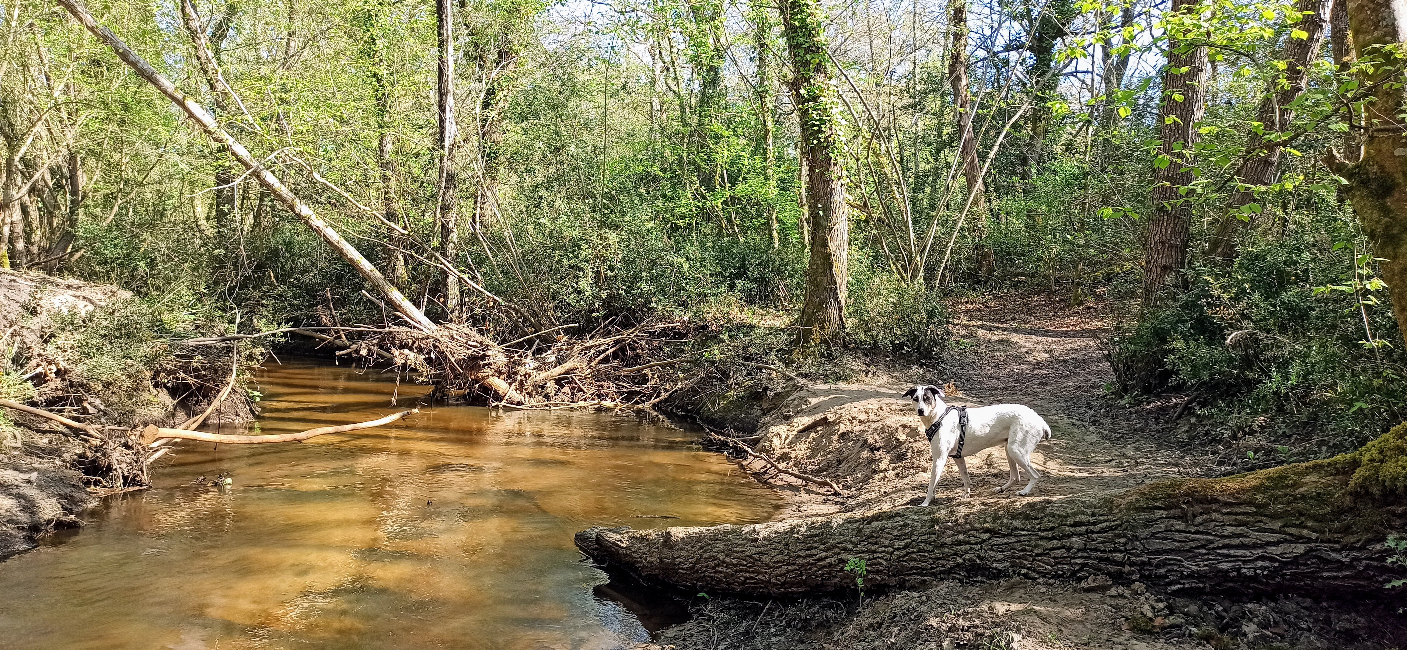 Photo n° 8 de l'avis de Sylvia.U fait le 05/04/2021 à 18:27