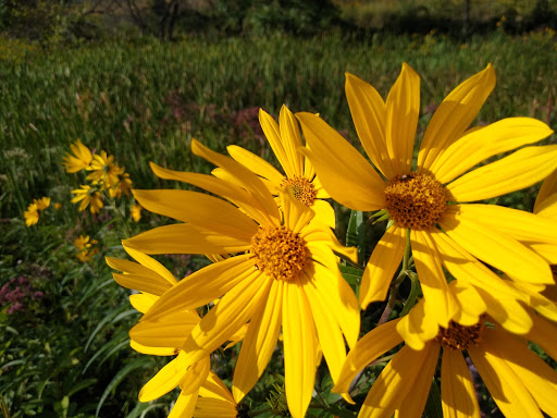 Bird Watching Area «Coffee Creek Watershed Preserve», reviews and photos, 2401 Village Point, Chesterton, IN 46304, USA