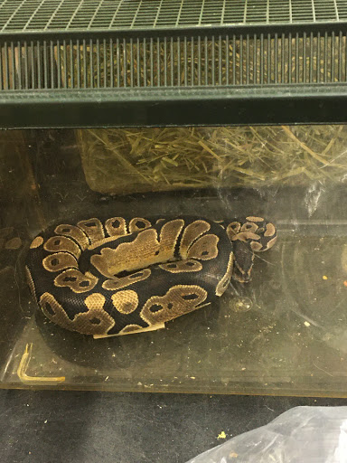 Pet Supply Store «Pet Supplies Plus», reviews and photos, 9500 Dorchester Rd #350, Summerville, SC 29485, USA