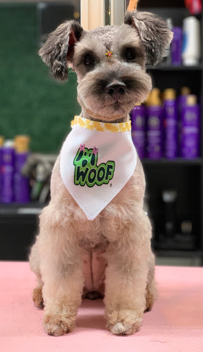WOOF Grooming Spa & Pet Boutique