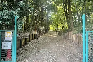 権現山古墳群史跡の森 image
