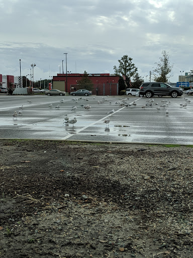 Shopping Mall «Riverdale Plaza Shopping Center», reviews and photos, 1044 W Mercury Blvd, Hampton, VA 23666, USA