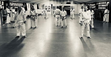 Karate club