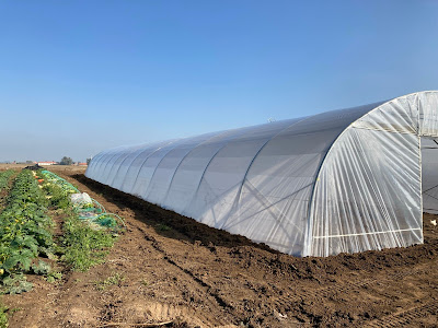 eco-serre à Steenvoorde