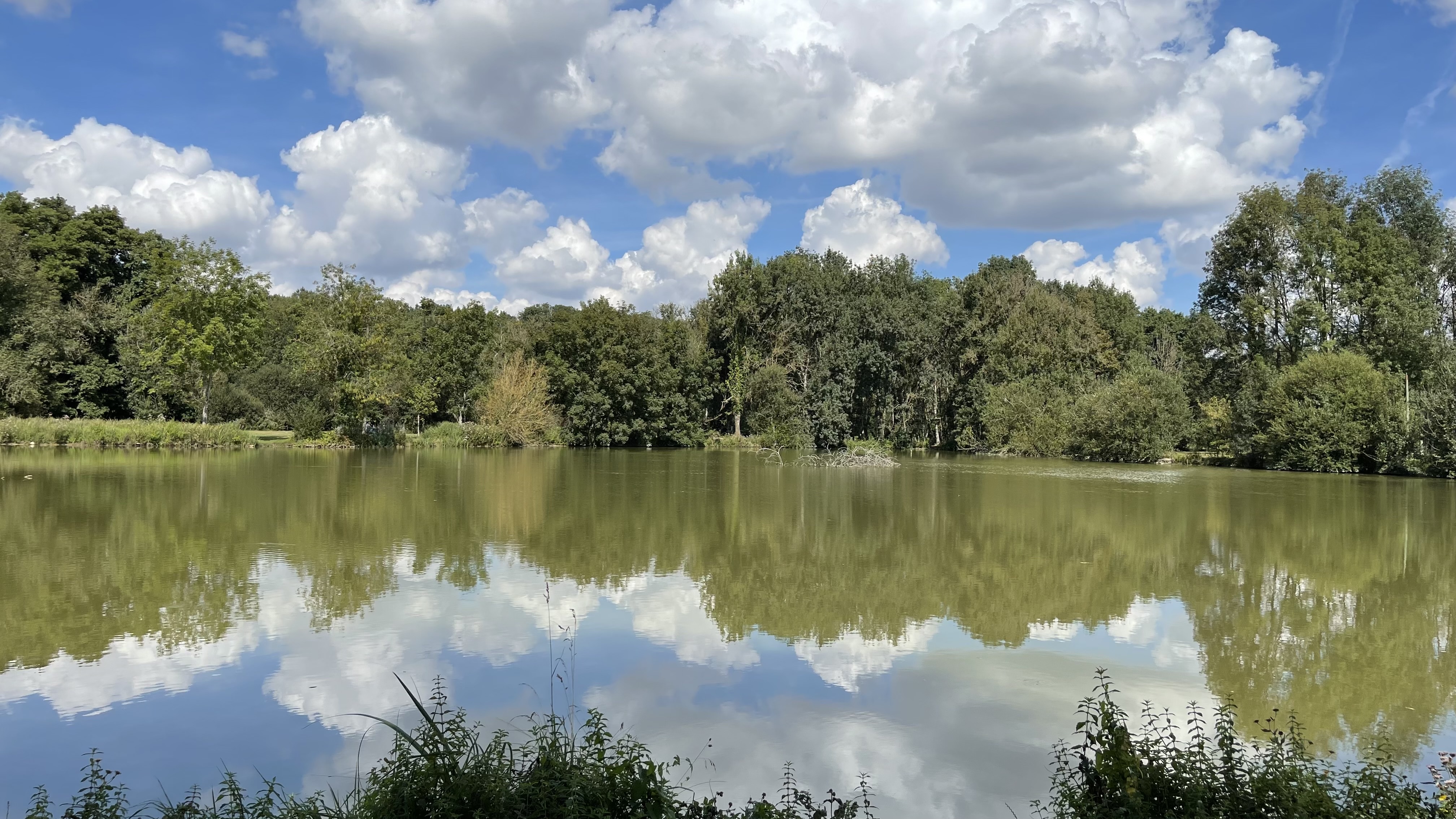 Photo n° 31 de l'avis de I.u fait le 05/09/2021 à 07:26