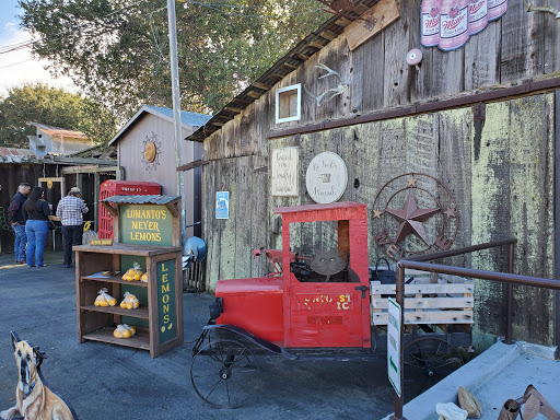 Sun Coast Organic Farm