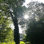 Photo n°20 de l'avis de Ingrid.a fait le 04/09/2020 à 07:43 sur le  Hotel Schloss Berg à Berg