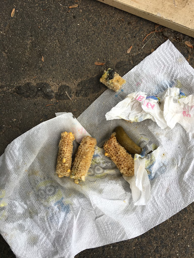 Plumber «RotoKing», reviews and photos, 163 Skinner Dr, New Britain, CT 06053, USA