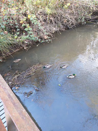 Park «Tualatin Hills Nature Park», reviews and photos, 15655 SW Millikan Way, Beaverton, OR 97006, USA