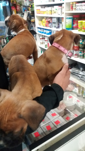 Pet Store «El Granero Pet Shop», reviews and photos, 15700 Atlantic Ave, Compton, CA 90221, USA