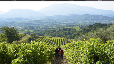 Union des Vignerons des Côtes du Rhône à Tulette