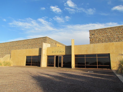 Bodega Séptima