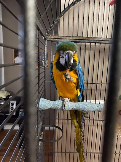 Winged Oasis Parrot Rescue