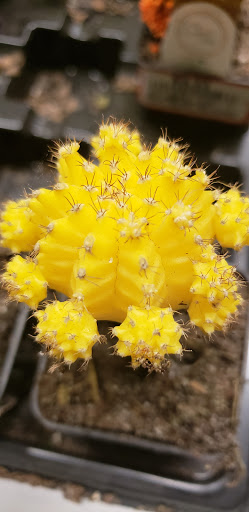 Home Improvement Store «The Home Depot», reviews and photos, 3540 New Jersey 66, Neptune City, NJ 07753, USA