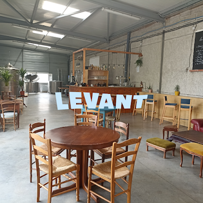 La Brasserie du Levant à Toulouse