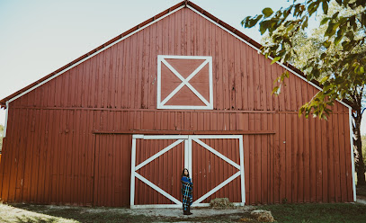 Tree Services in Dallas