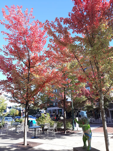 Toy Store «Dancing Bear Toys Ltd», reviews and photos, 418 N Main St, Hendersonville, NC 28792, USA