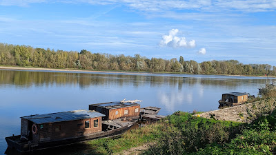 Bords de Loire Montsoreau à Montsoreau