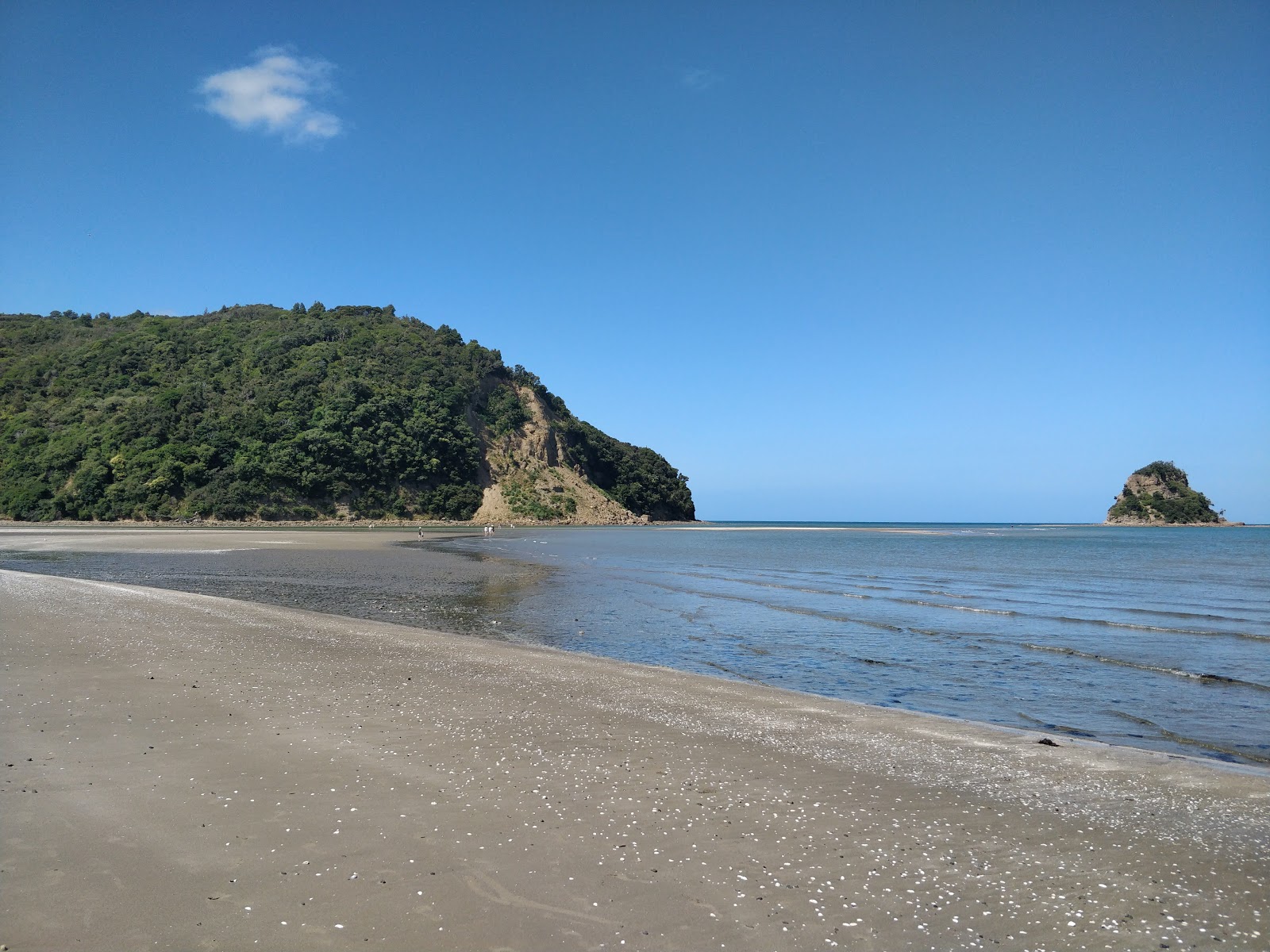 Foto di Waiwera Beach con spiaggia spaziosa