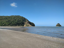 Photo de Waiwera Beach avec un niveau de propreté de très propre