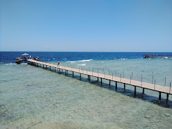 Palma Beach'in fotoğrafı ve yerleşim