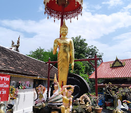 Doi Kham Hillside 1 photo