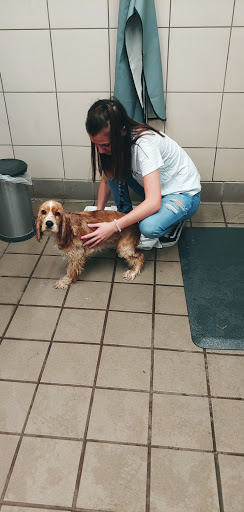 Pet Supply Store «Pet Supplies Plus», reviews and photos, 209 Towne Dr, Elizabethtown, KY 42701, USA