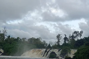 Chutes de la Lobé image