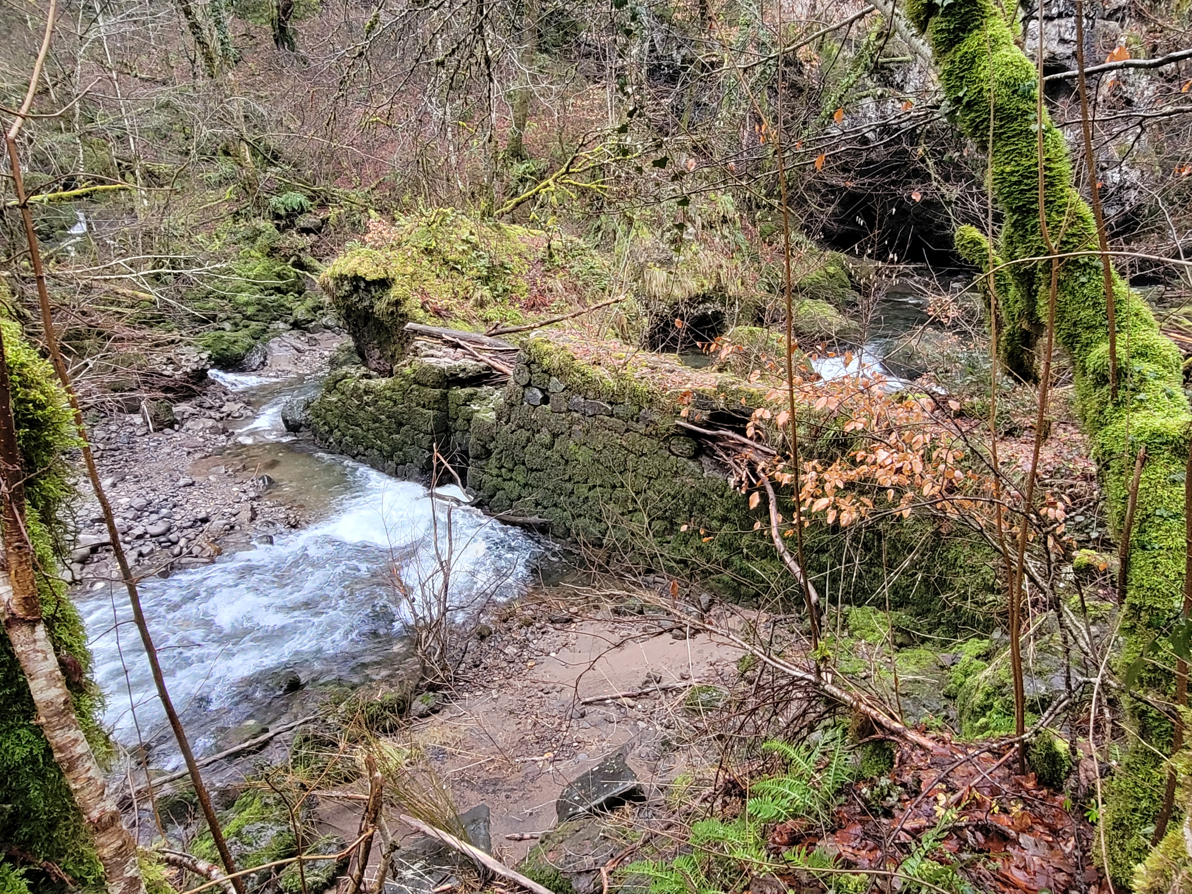 Photo n° 7 de l'avis de Clacla.u fait le 10/02/2024 à 03:26