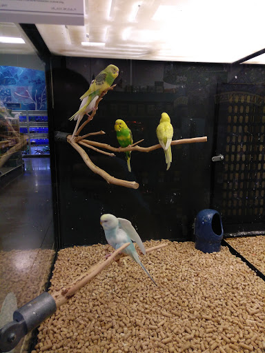Pet Supply Store «PetSmart», reviews and photos, 20530 E 13 Mile Rd, Roseville, MI 48066, USA