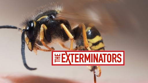 The Exterminators Inc.