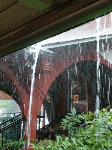 Cafe «High Point Cafe», reviews and photos, 7210 Cresheim Rd, Philadelphia, PA 19119, USA