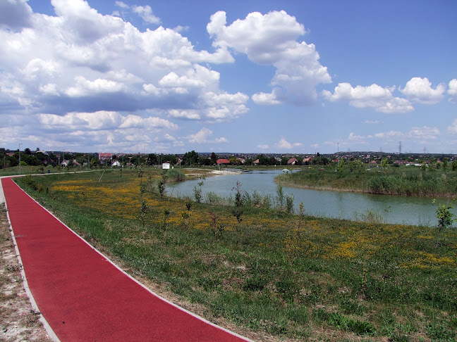 Érd, Néra u., 2030