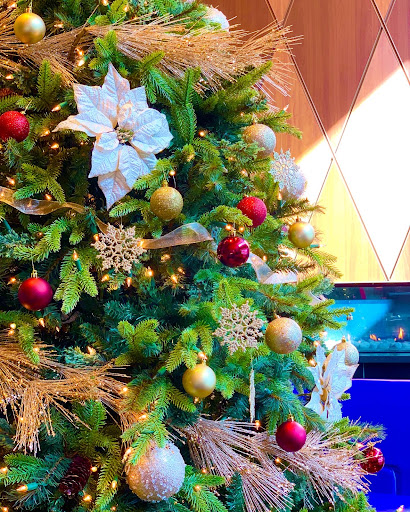 Casino «Tioga Downs Casino», reviews and photos, 2384 W River Rd, Nichols, NY 13812, USA