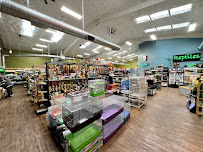 Denny's Pet World - Photo 4 - Car repair in Kirkland, WA, Seattle