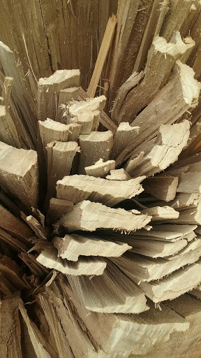 Park «East Rock Park», reviews and photos, 41 Cold Spring St, New Haven, CT 06511, USA