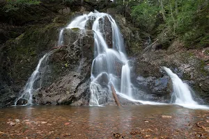 Wentworth Falls image