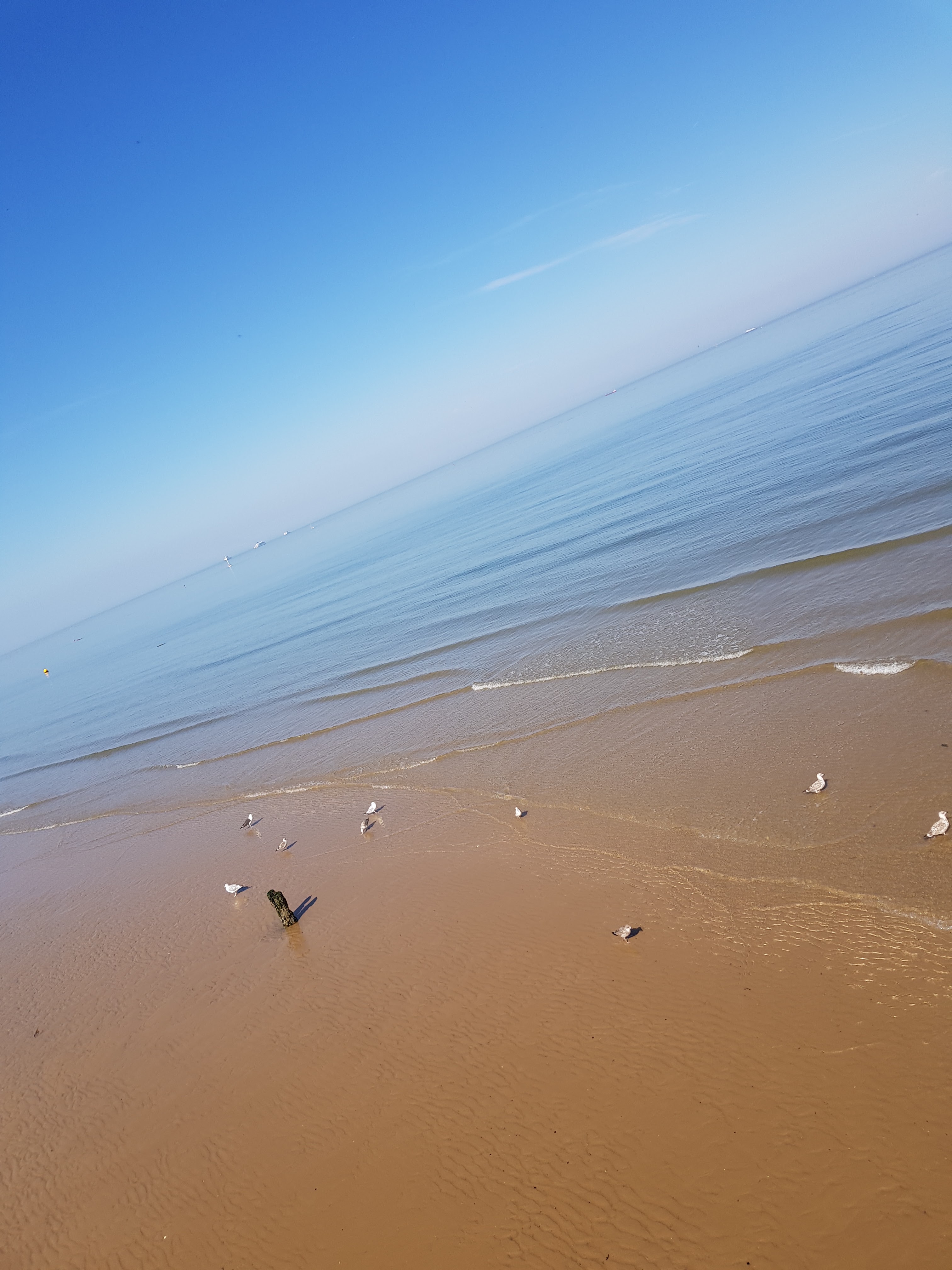 Photo n° 1 de l'avis de Baptiste.A fait le 26/08/2019 à 17:07