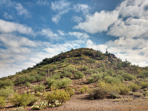 Sentinel Peak Park (“A” Mountain)