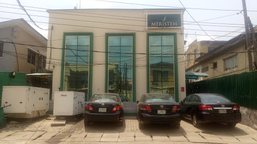 Meristem Securities Limited, 124 Norman Williams St, Ikoyi, Lagos, Nigeria, Financial Planner, state Lagos