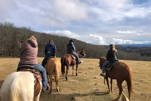Blowing Rock Trail Rides image