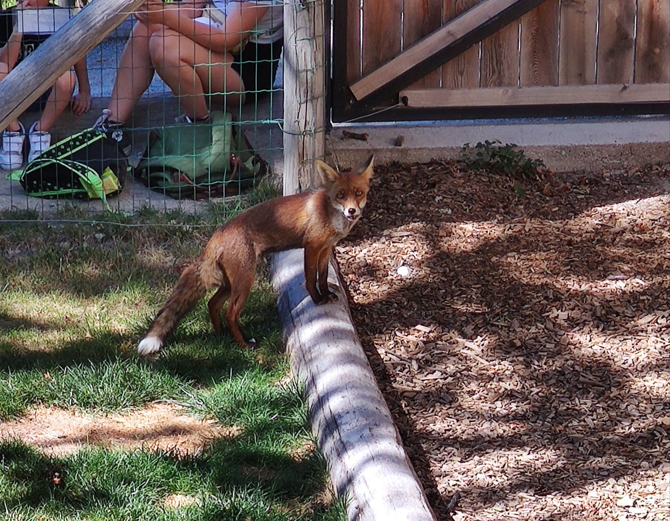 Photo n° 3 de l'avis de Béatrice.o fait le 17/09/2023 à 20:35