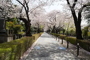 Aoyama Cemetery image