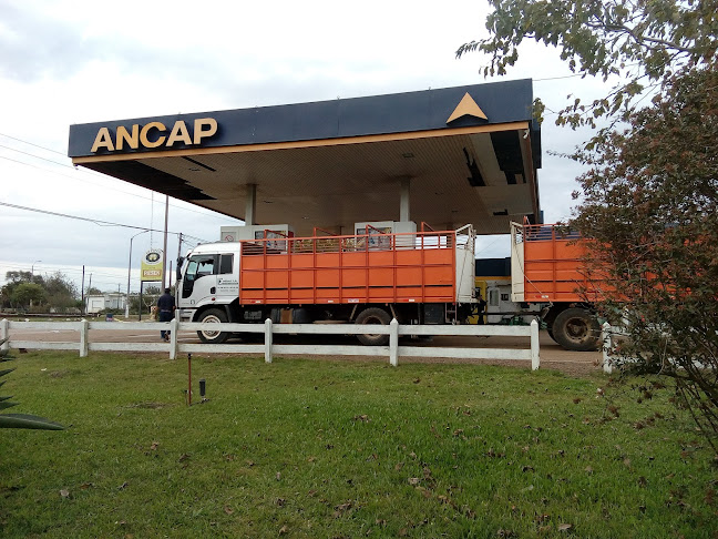 Estacion Ancap - Gasolinera