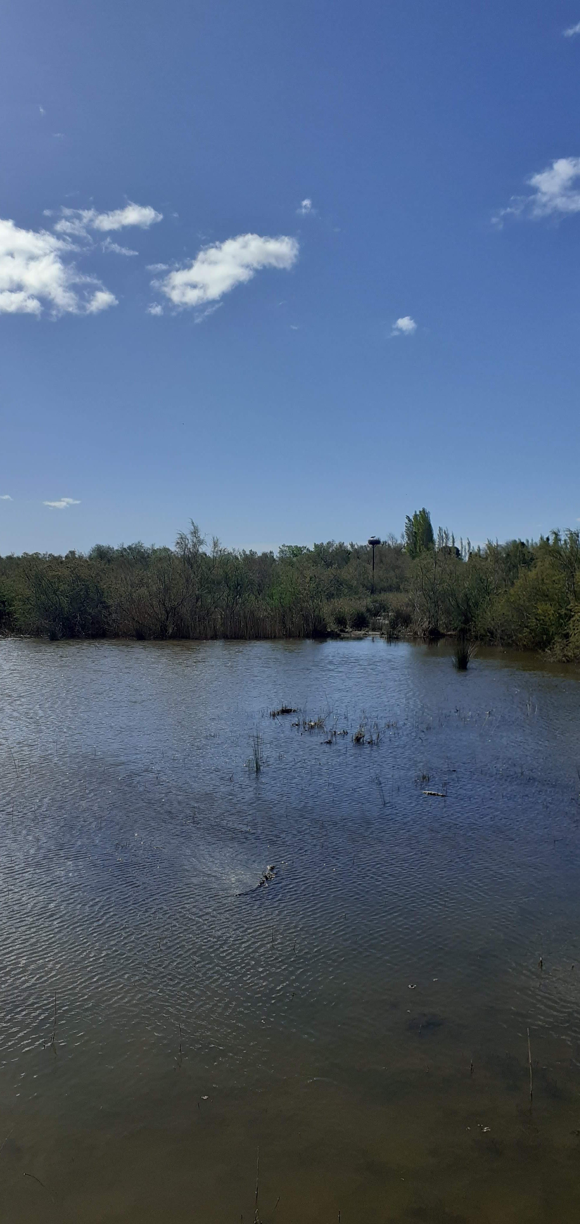 Photo n° 3 de l'avis de Stéphanie.t fait le 16/04/2023 à 18:07
