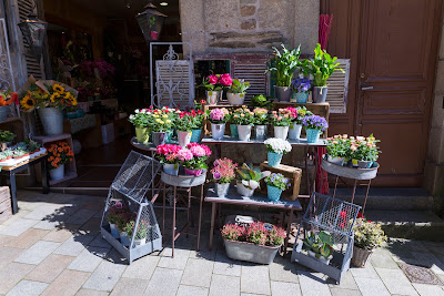 MIREILLE FLEURS à Lannion
