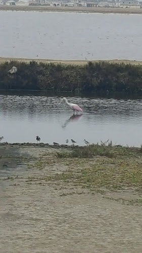 Vía Punta Carnero, Salinas, Ecuador