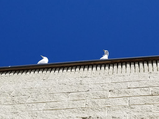 Department Store «Renys Department Store», reviews and photos, 795 Roosevelt Trail, Windham, ME 04062, USA