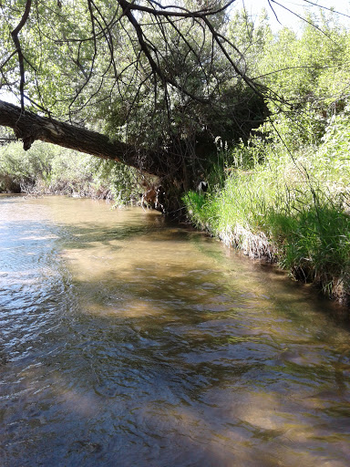 State Park «Cherry Creek State Park», reviews and photos, 4201 S Parker Rd, Aurora, CO 80014, USA